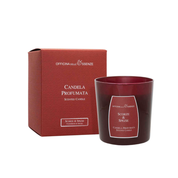 Perfume Candle Scorze & Spezie 250 g